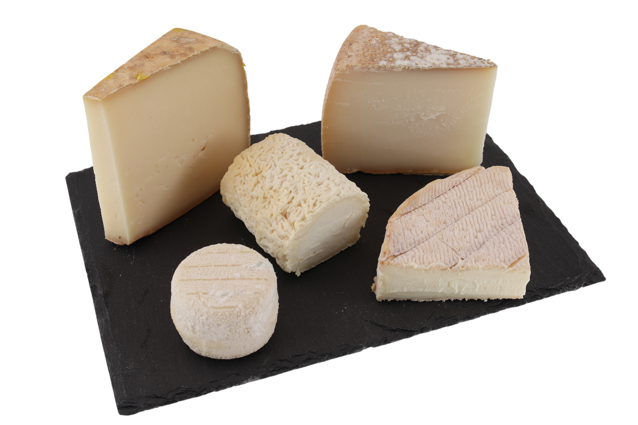 Frischer Chevre Käse aus dem Ziegenkäse Sortiment von Käseversand24