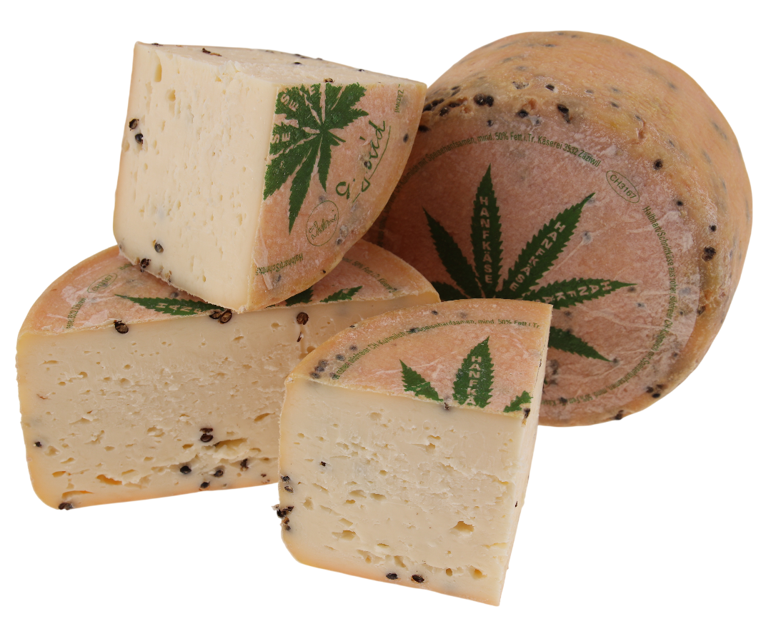 Hanfkäse kaufen und bestellen bei Käseversand24.de